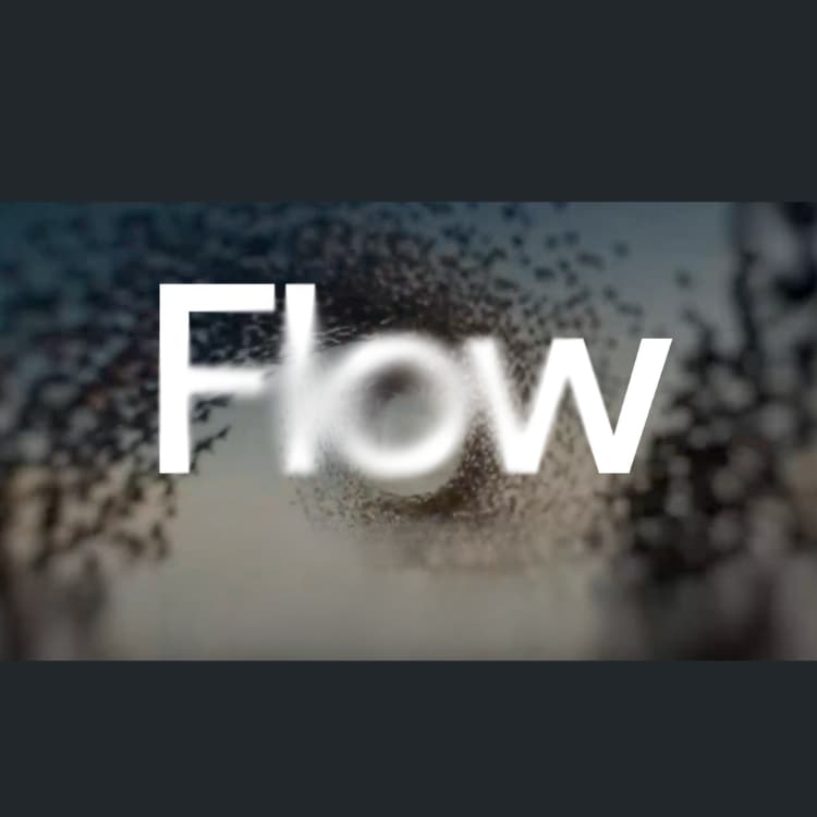 Flow